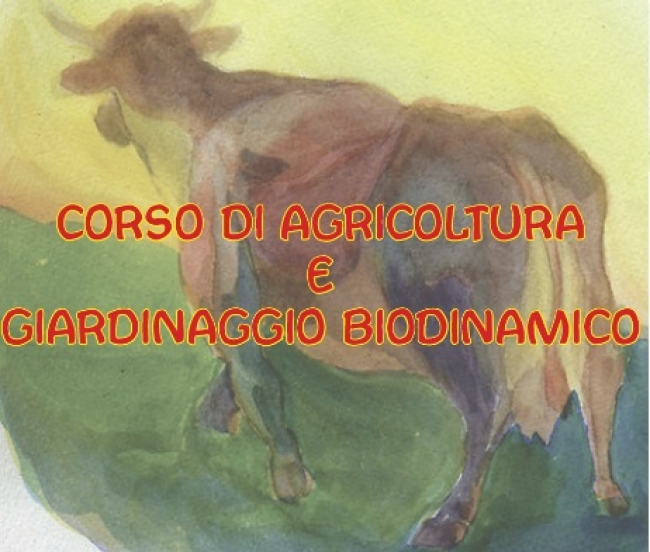 Un orto e un giardino biodinamico