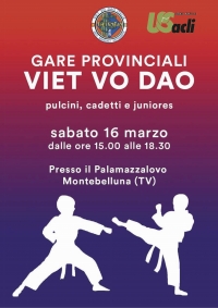 Gare provinciali di Viet Vo Dao a Montebelluna