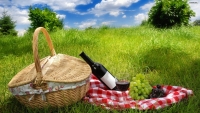 Picnic in vigna con la Fap Acli