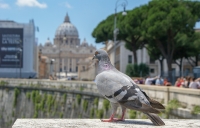 Dalla crisi ad una nuova stagione di speranza