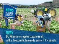 Regolarizzazione: domande entro il 15 agosto