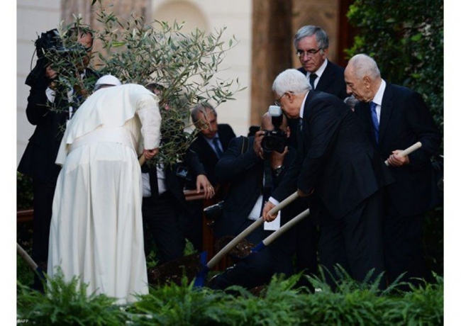 La pace è ancora possibile, ha detto il Santo Padre nell'accorato messaggio