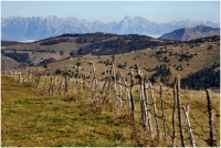 L’escursione prevede un percorso lungo l’ultima linea difensiva del fronte italiano della Grande Guerra