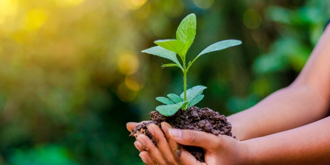 &quot;Dall&#039;agenda 2030 alla Laudato Sì&quot; Seminario Acli