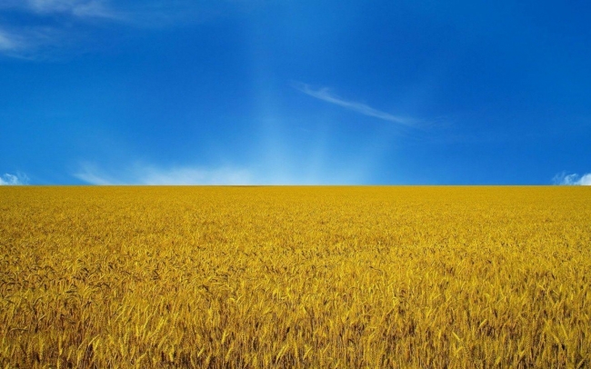 Cercando la pace. Incontro sull'Ucraina